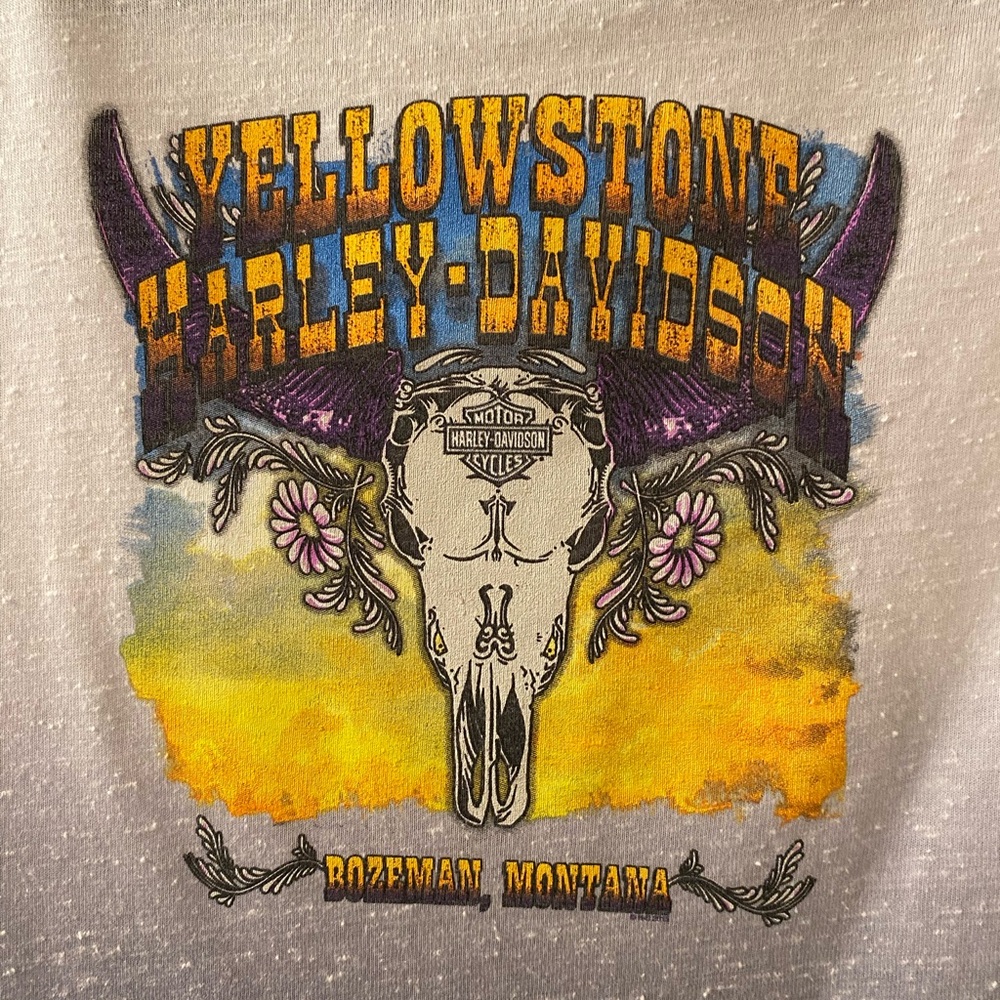 Harley-Davidson Yellowstone Bozeman Montana V-Neck Tee Ombre Blue Size M - Picture 6 of 8